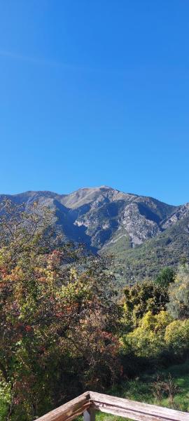 Serre 2